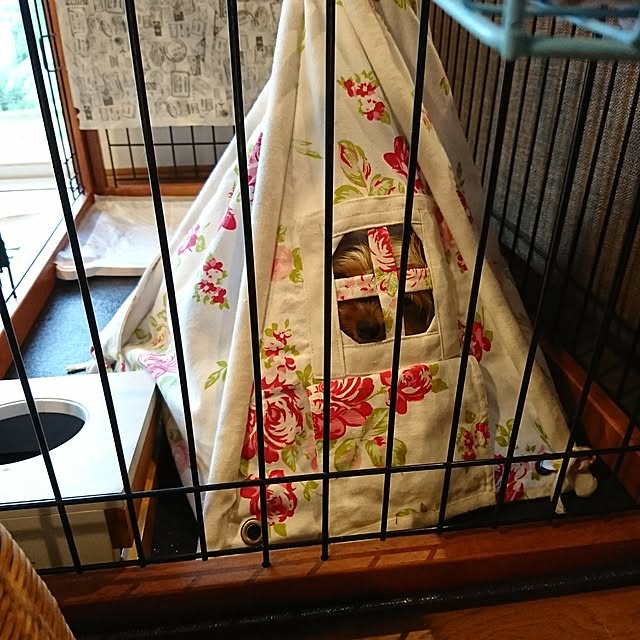 akiさんの実例写真