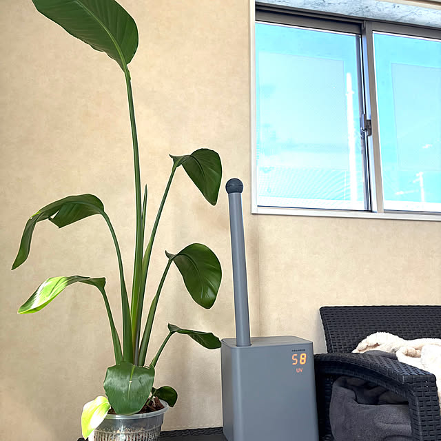 MOMOMAMAさんの実例写真