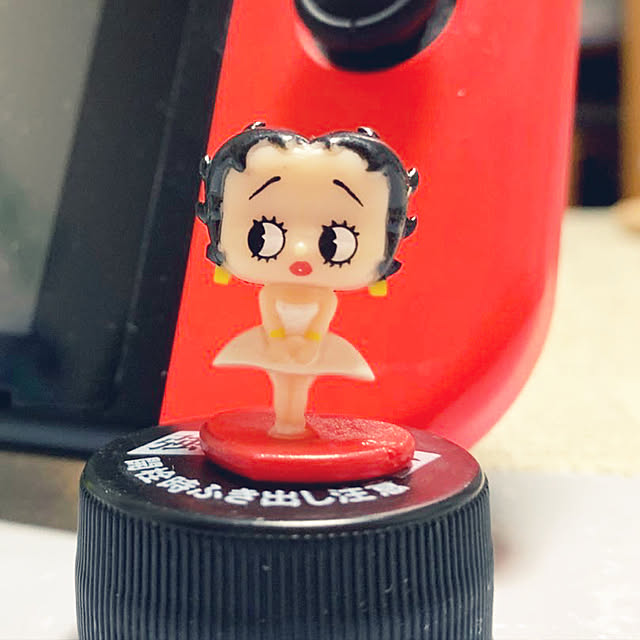 buchibuchi55さんの実例写真