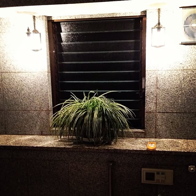 r_i_n_aさんの実例写真