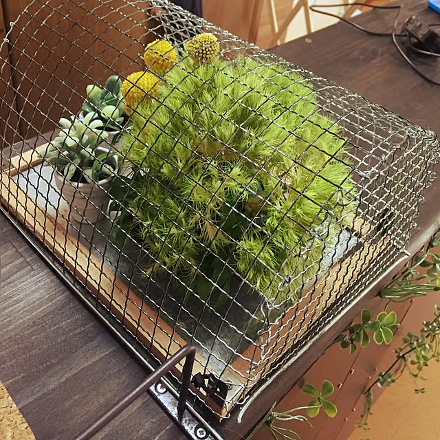 jdannabcさんの実例写真