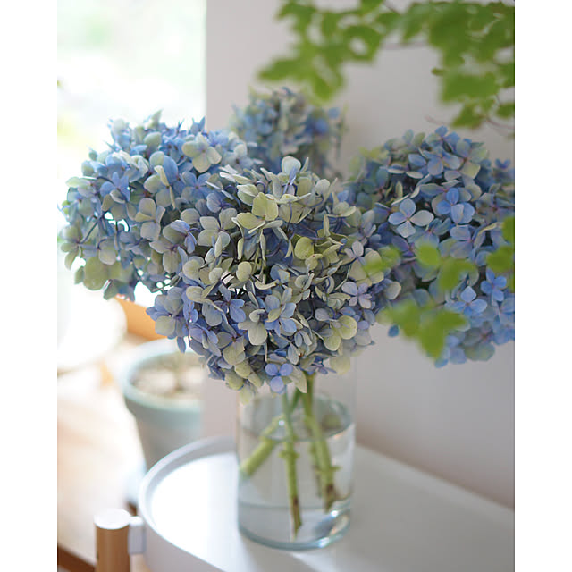 noriflowerさんの部屋