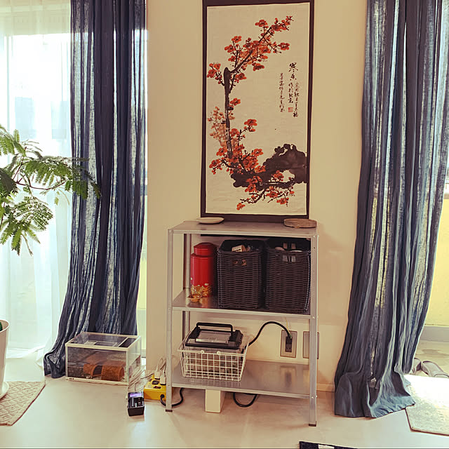 実例写真