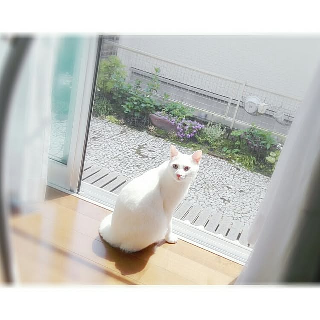 7tuさんの実例写真