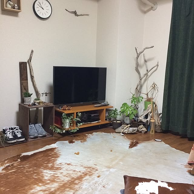 実例写真