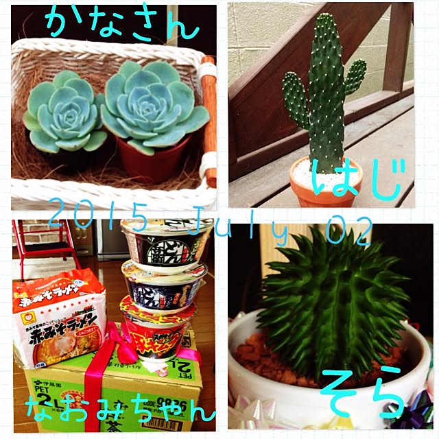 yumi72さんの実例写真