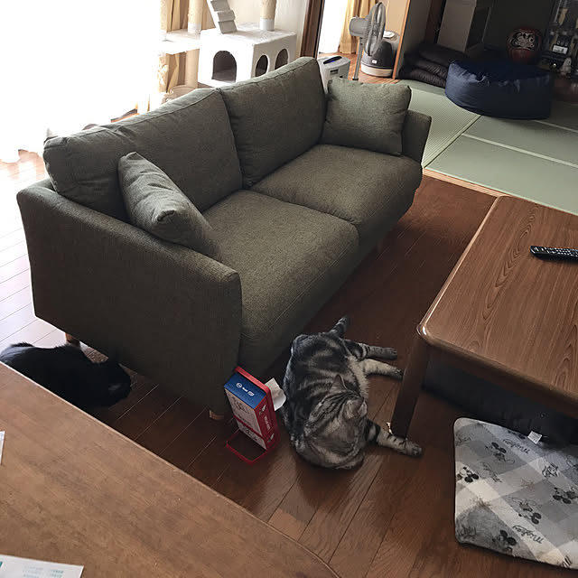 kami_haさんの実例写真