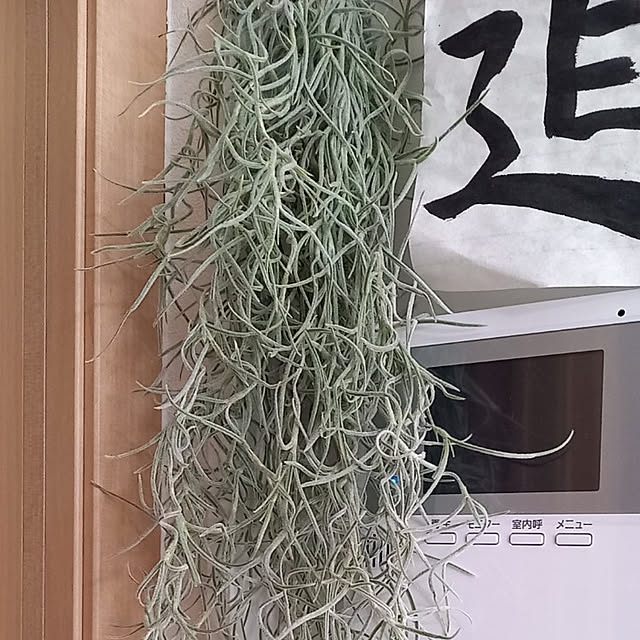 naomiさんの実例写真
