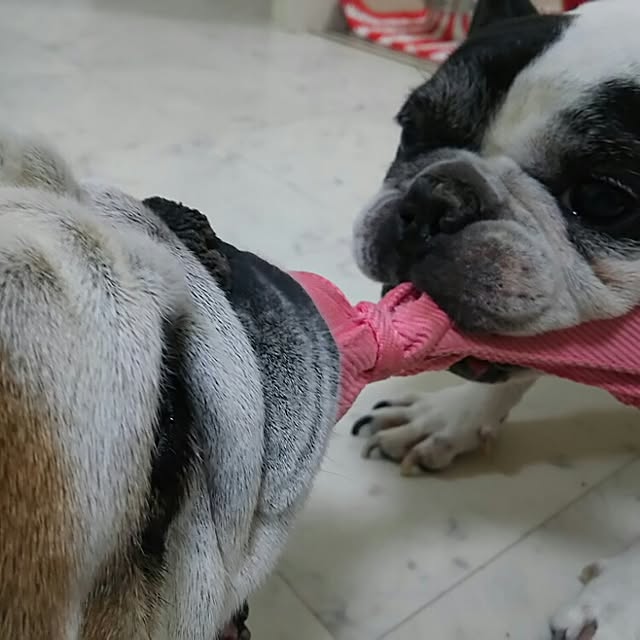 AandPさんの実例写真