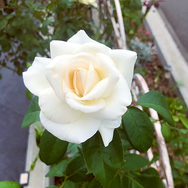 tomoさんの部屋