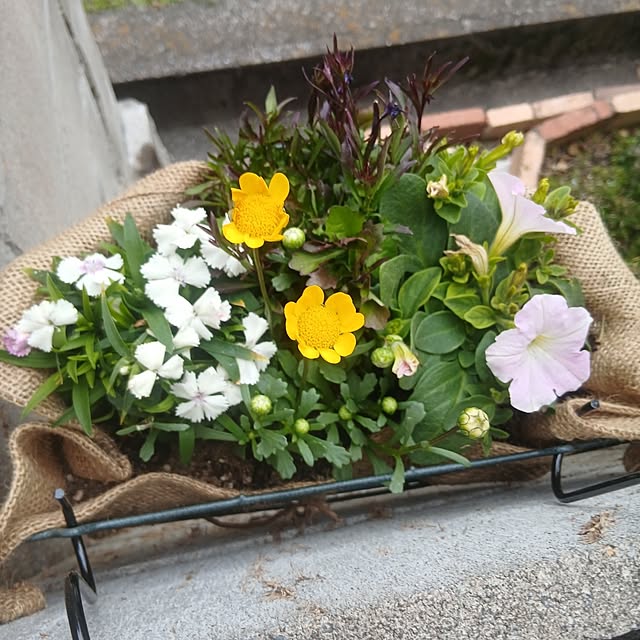 murasaki808さんの部屋