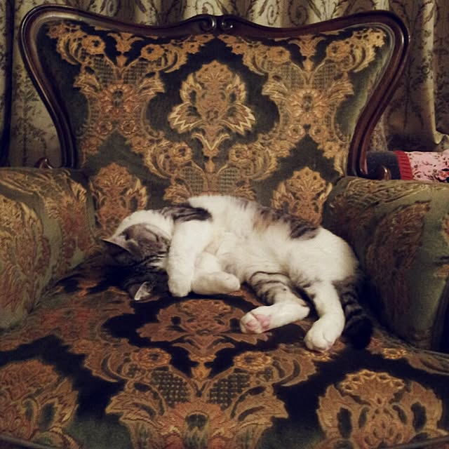 emmyyさんの実例写真