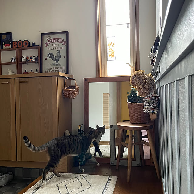 nobikoさんの部屋