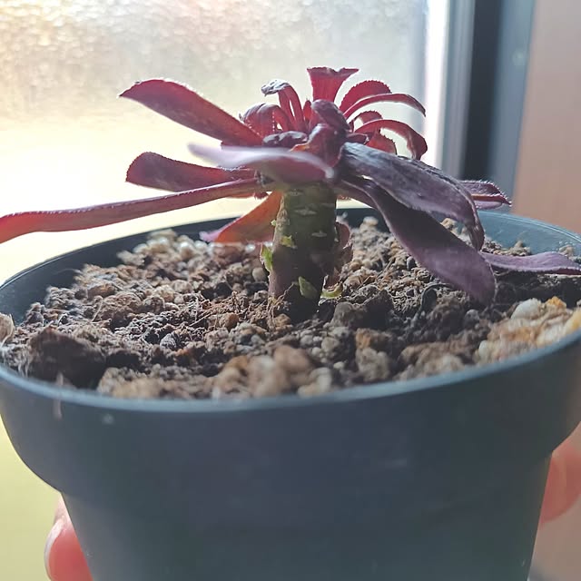 tomo5さんの部屋