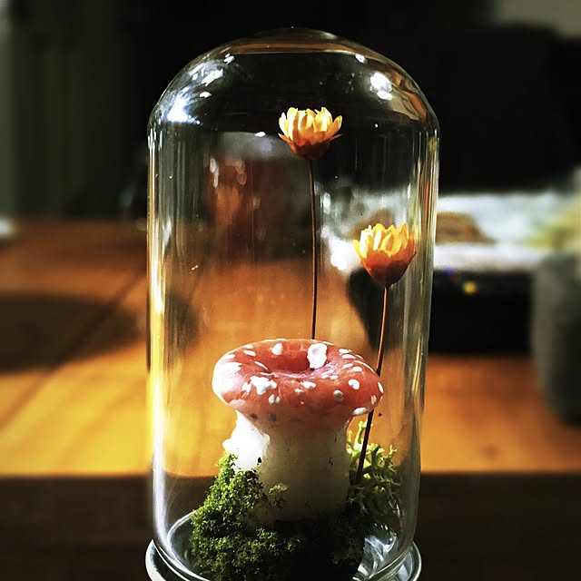 ramuchop3000さんの実例写真