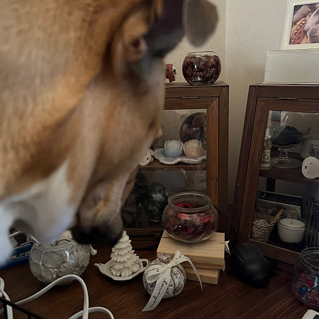 chi_gogaさんの部屋