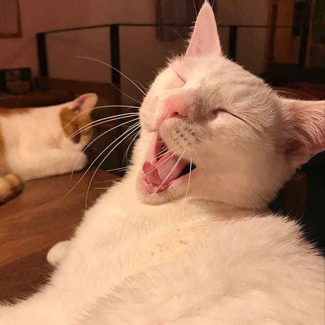 sakurasakuさんの実例写真