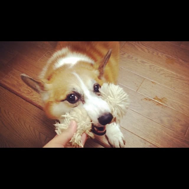 tumuさんの実例写真