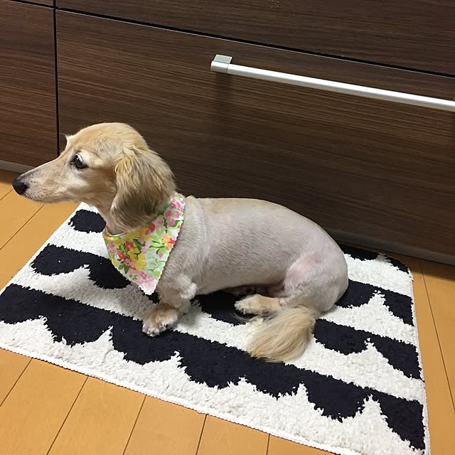 chiiiさんの実例写真
