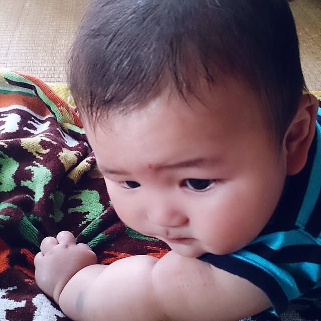 amifuuさんの実例写真