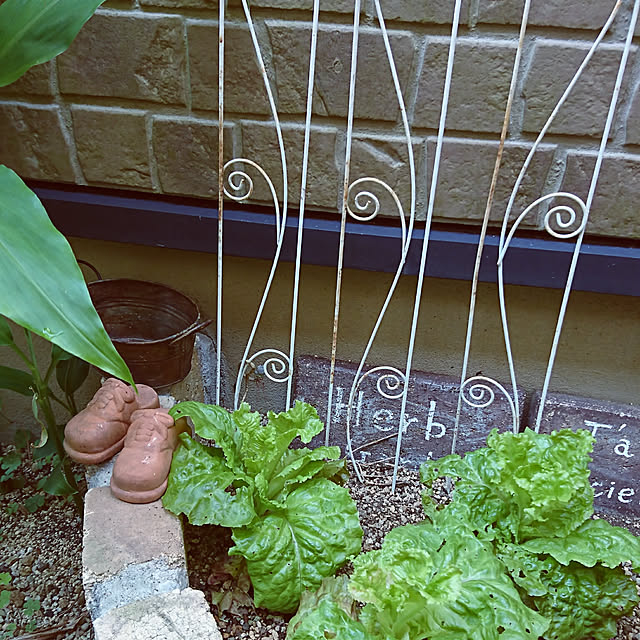 kikurinさんの実例写真