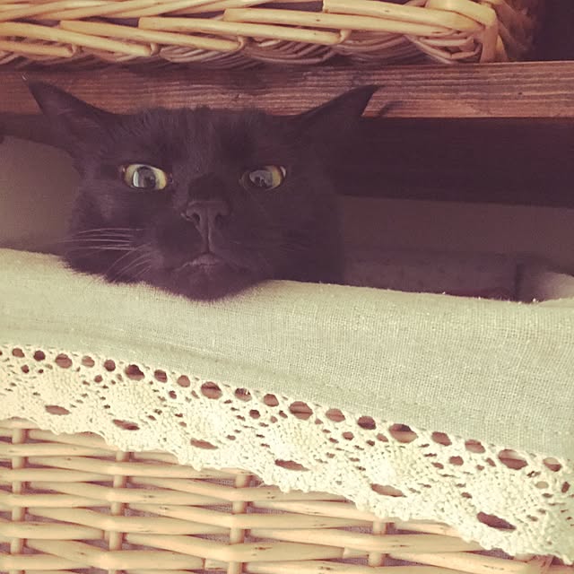 mocoさんの実例写真