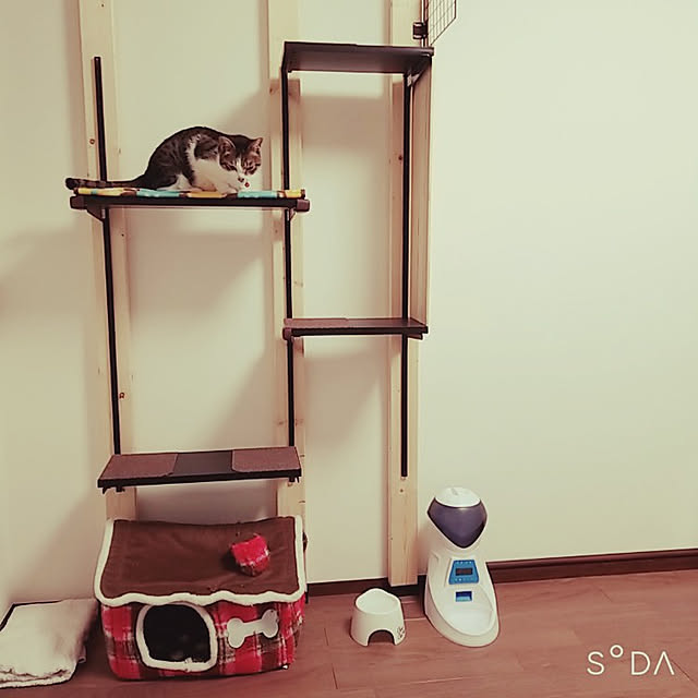 natuさんの実例写真