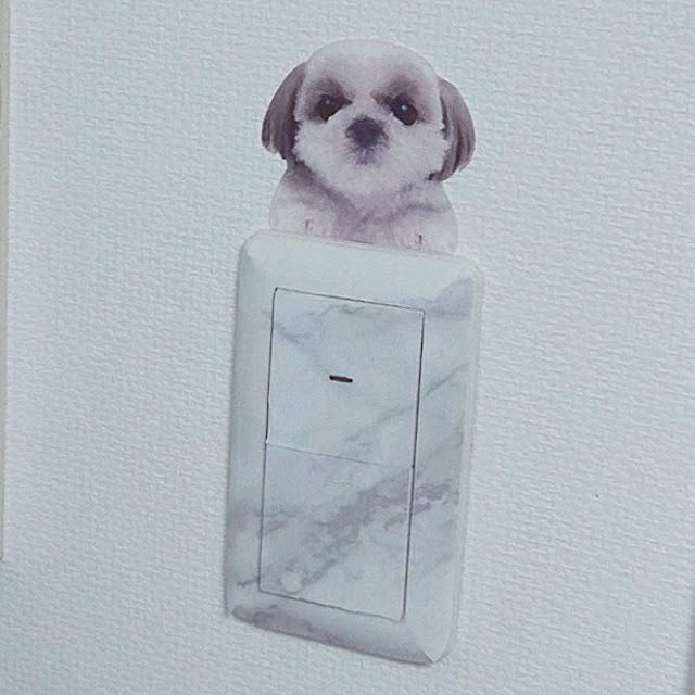 pinorinさんの実例写真