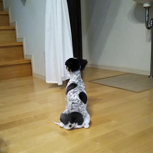 yukkoさんの実例写真