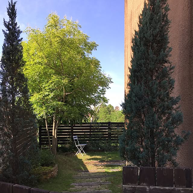 olivierさんの実例写真
