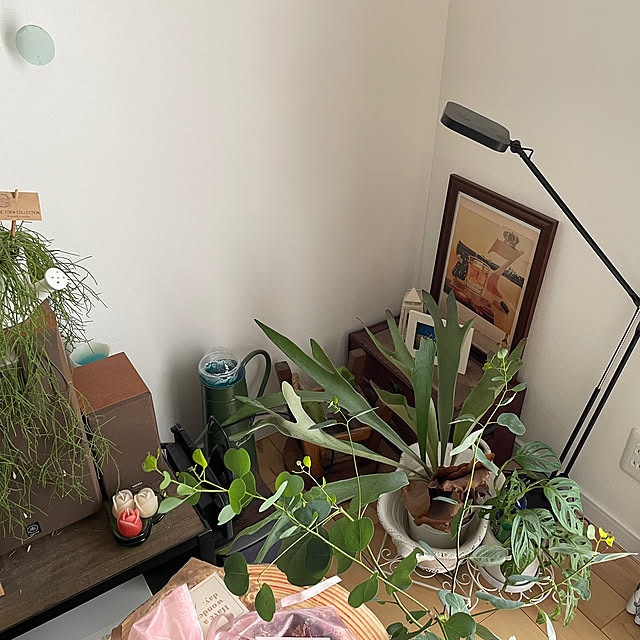 Umichanさんの部屋