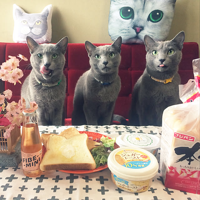 実例写真