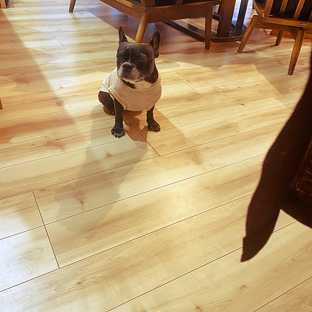 kotaroさんの部屋