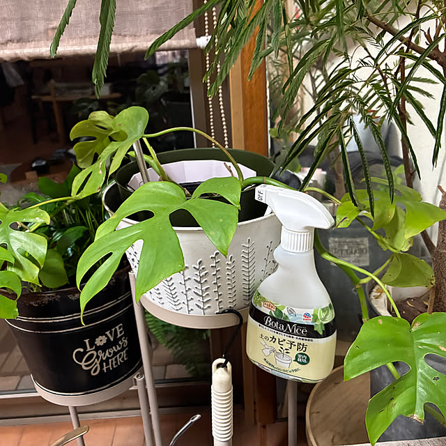 cagosukiさんの実例写真