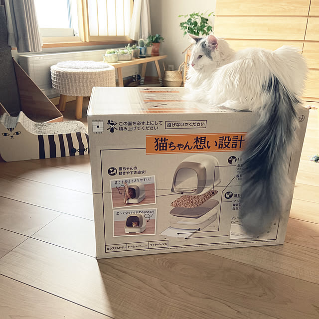 miwaさんの実例写真