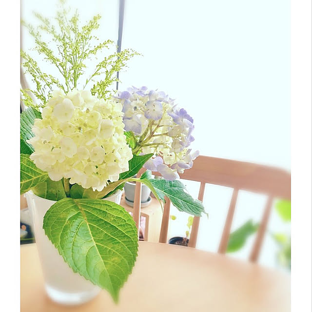 実例写真