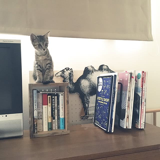 mikomaruさんの実例写真