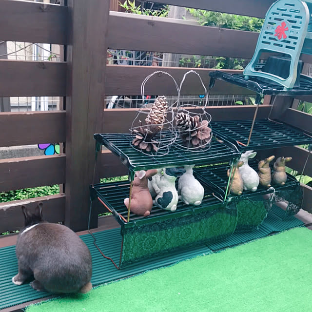 portulacaさんの実例写真