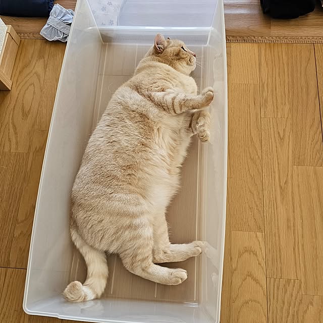 makoさんの部屋