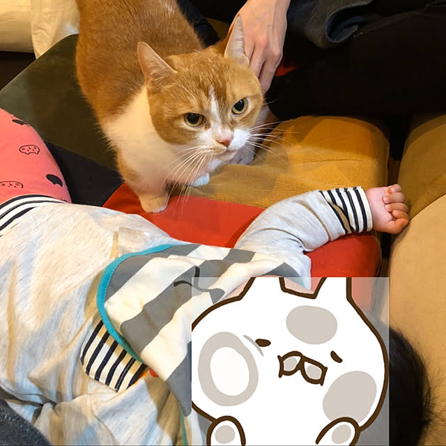 KotarouKunさんの実例写真