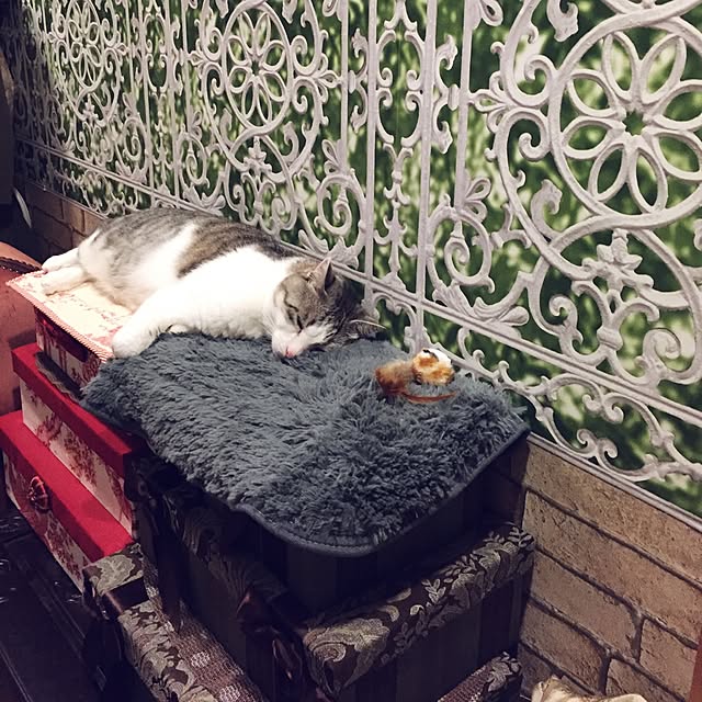 emmyyさんの実例写真