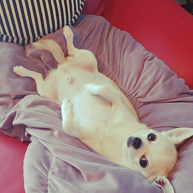 BLACKさんの実例写真