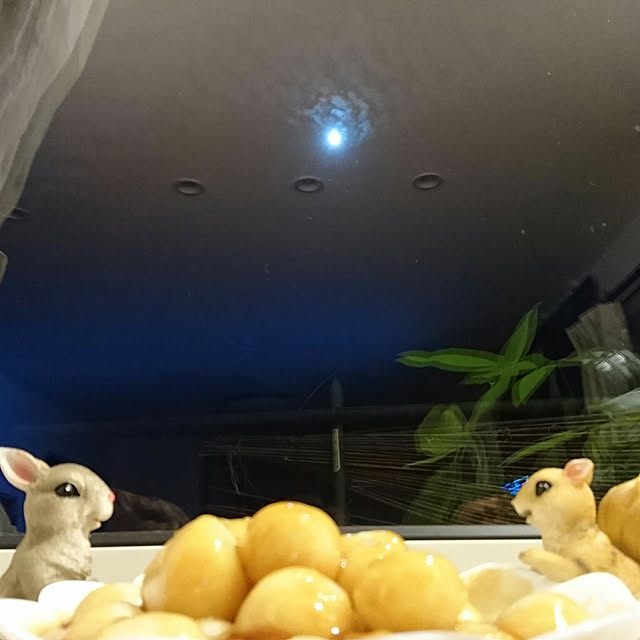 ciiiさんの実例写真