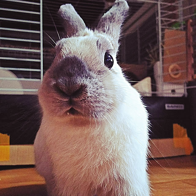makiさんの実例写真