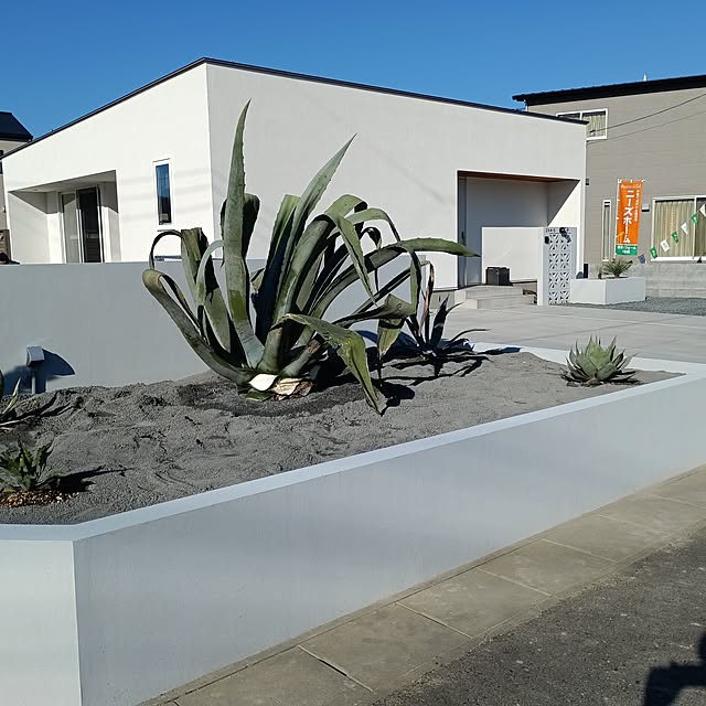 satochiさんの部屋