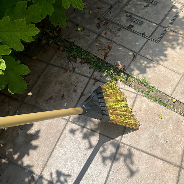 kuikoさんの実例写真