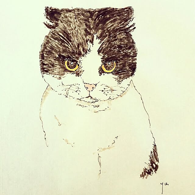 panchobiさんの実例写真