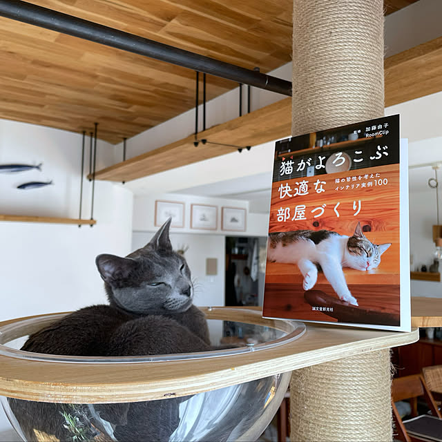 tomokoさんの実例写真
