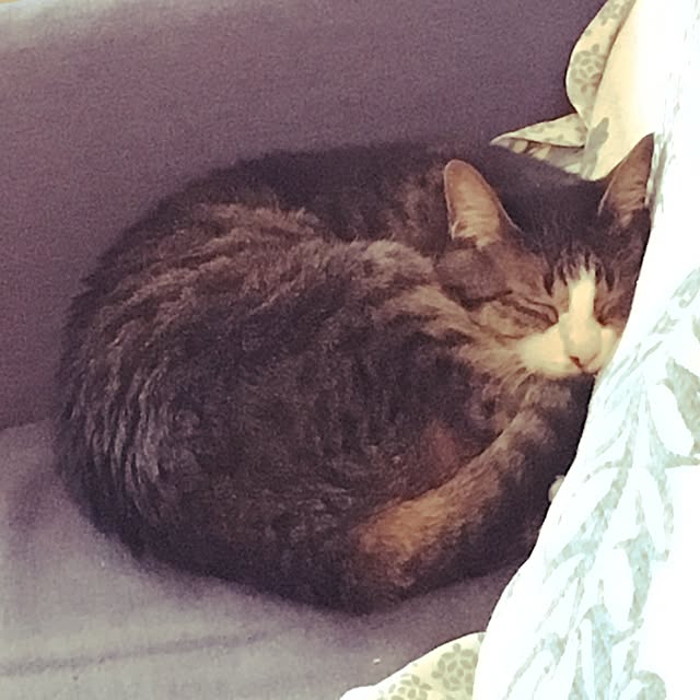 hukurou2128さんの実例写真