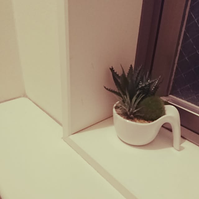 yuki.さんの実例写真